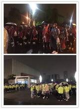 娱乐吃瓜君视频看热闹,揭秘娱乐圈幕后热点，带你领略明星们的“热闹”生活